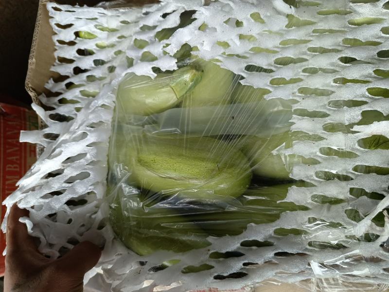 大家好我是河北省邯郸市永年区西葫芦市场，需要联系我