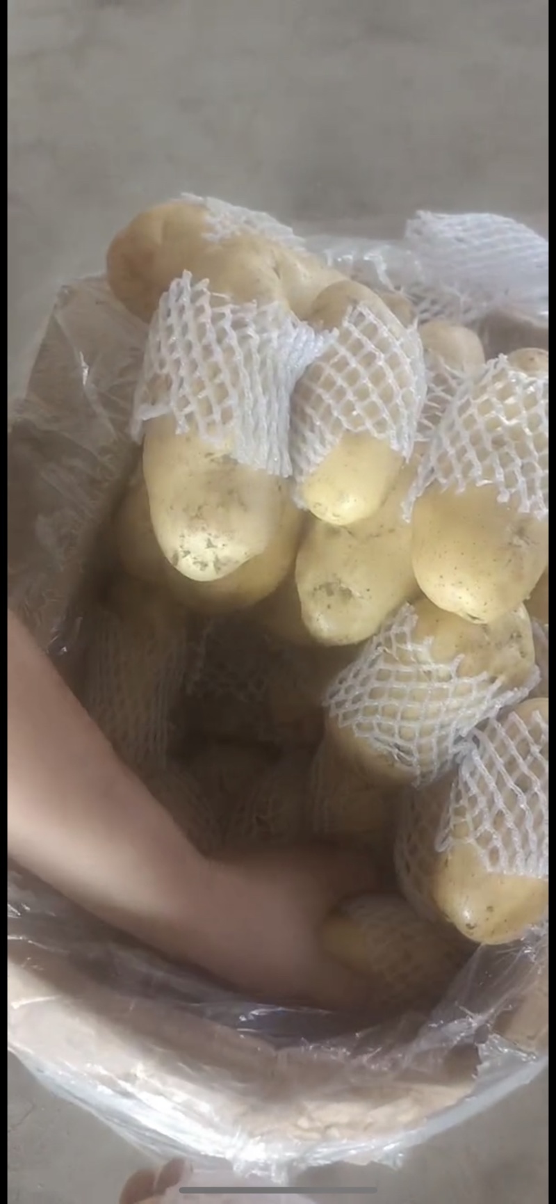 蒙阴当地货，3两起，30来万斤需要的联系