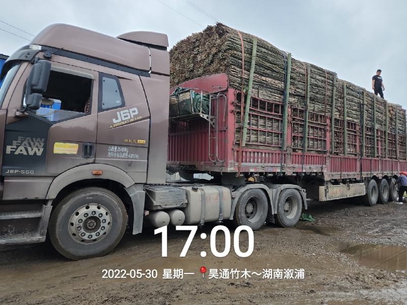 湘西雪峰山菜架竹、竹竿、竹架条、金竹、铁竹、白竹、水竹