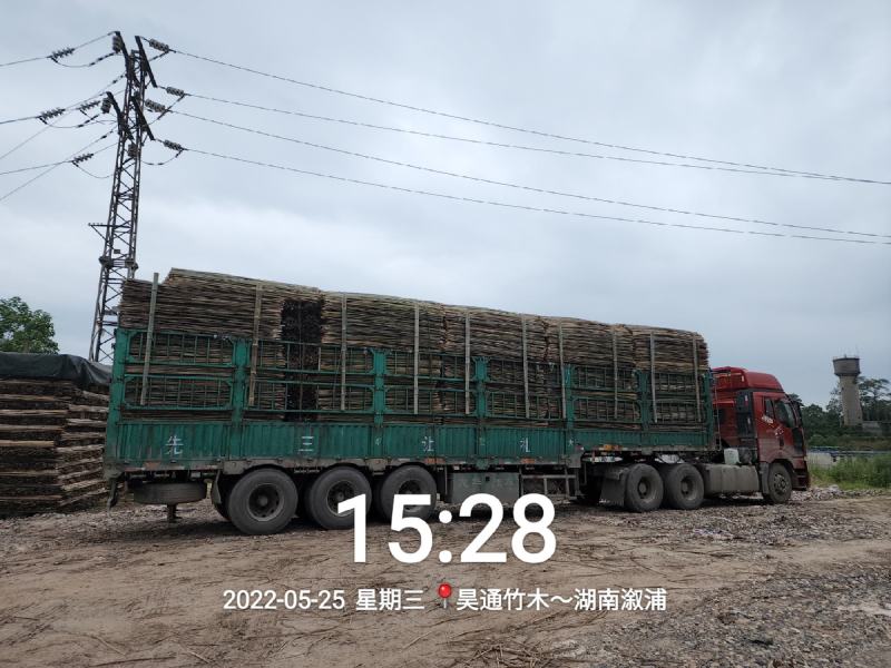 湘西雪峰山菜架竹、竹竿、竹架条、金竹、铁竹、白竹、水竹