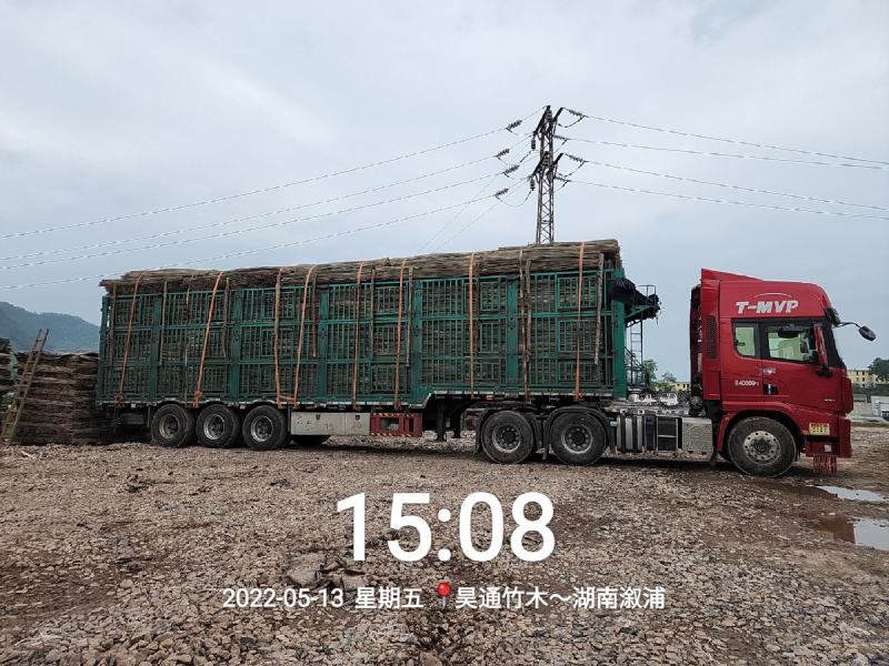 湘西雪峰山菜架竹、竹竿、竹架条、金竹、铁竹、白竹、水竹