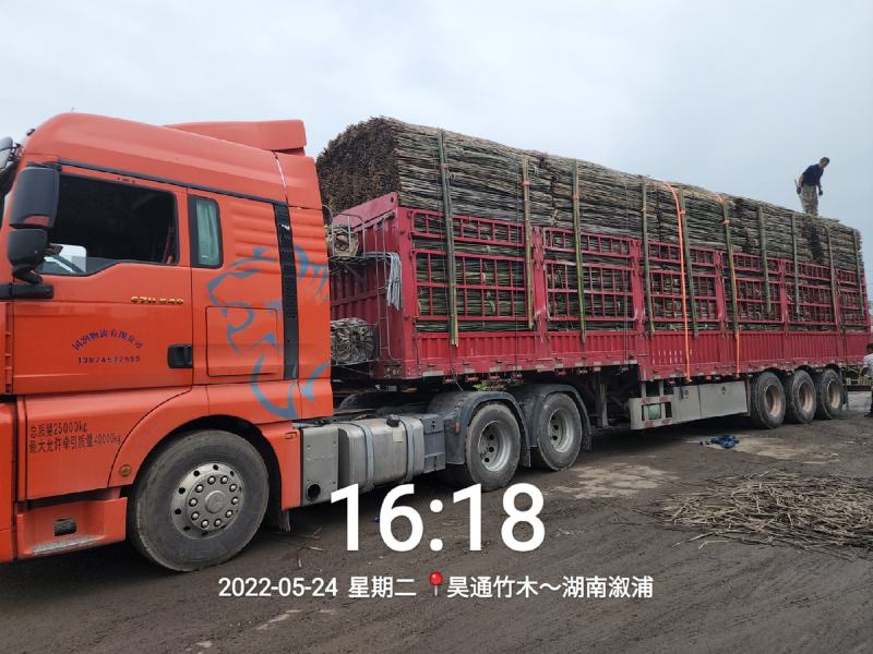 湘西雪峰山菜架竹、竹竿、竹架条、金竹、铁竹、白竹、水竹