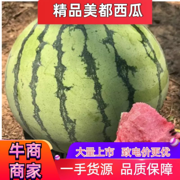 【精品】湖南岳阳美都西瓜，皮薄瓤甜货源充足，质量保证！