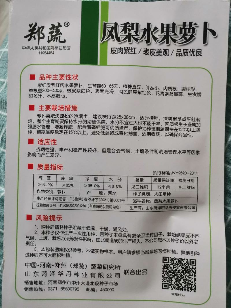 凤梨萝卜水果种籽红皮红心萝卜种子紫美人红萝卜子秋季四季播