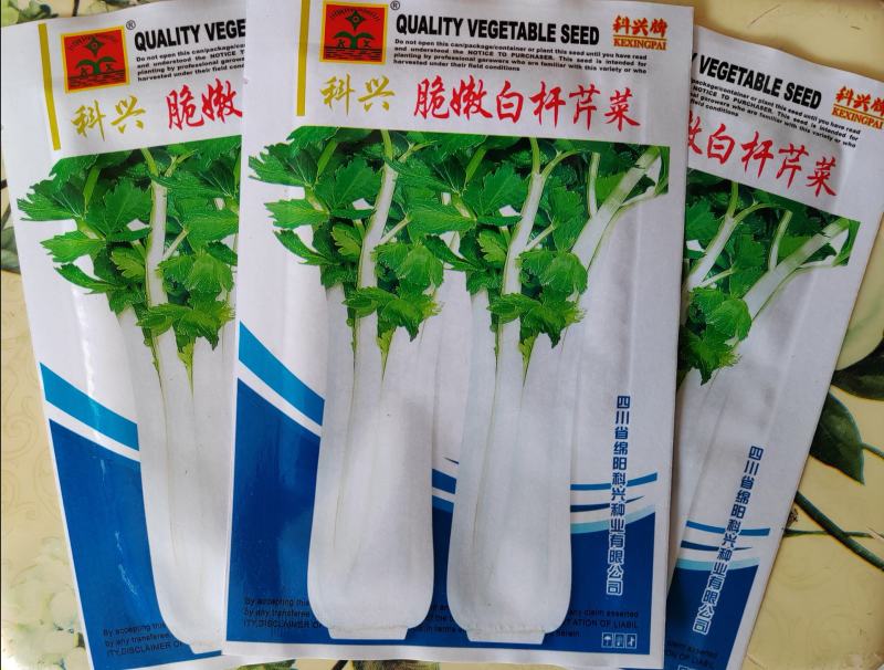 白杆芹菜空心白芹菜种子脆嫩白芹菜种子芹菜种子