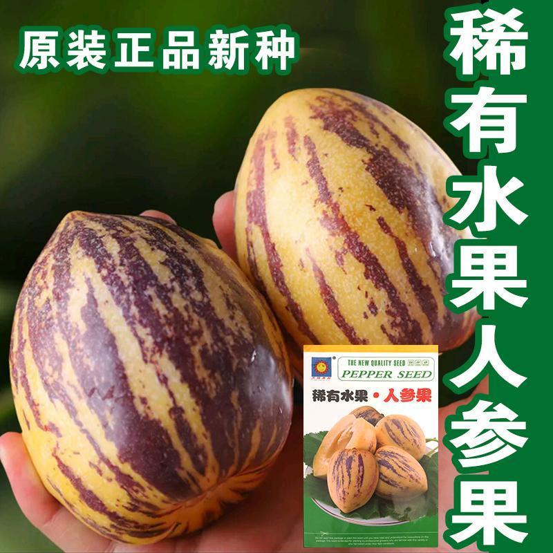 人参果种子奶香人参果原装批发大全一年四季种植阳台盆栽水果