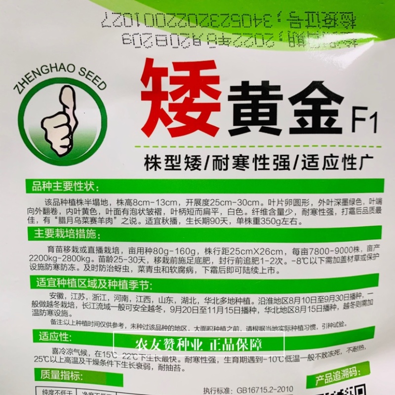 理想绿黄金黄心乌种子杂交一代乌塌菜种子腊月寒菜黄心白菜