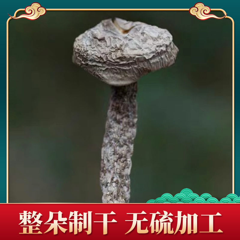 精品2023新货鹿茸菇，农家自种，整朵，碎菇，菌香浓郁