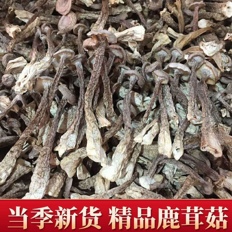 精品2023新货鹿茸菇，农家自种，整朵，碎菇，菌香浓郁