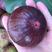 波姬红日本紫果金傲芬巴劳奈适合南北种植大棚种植