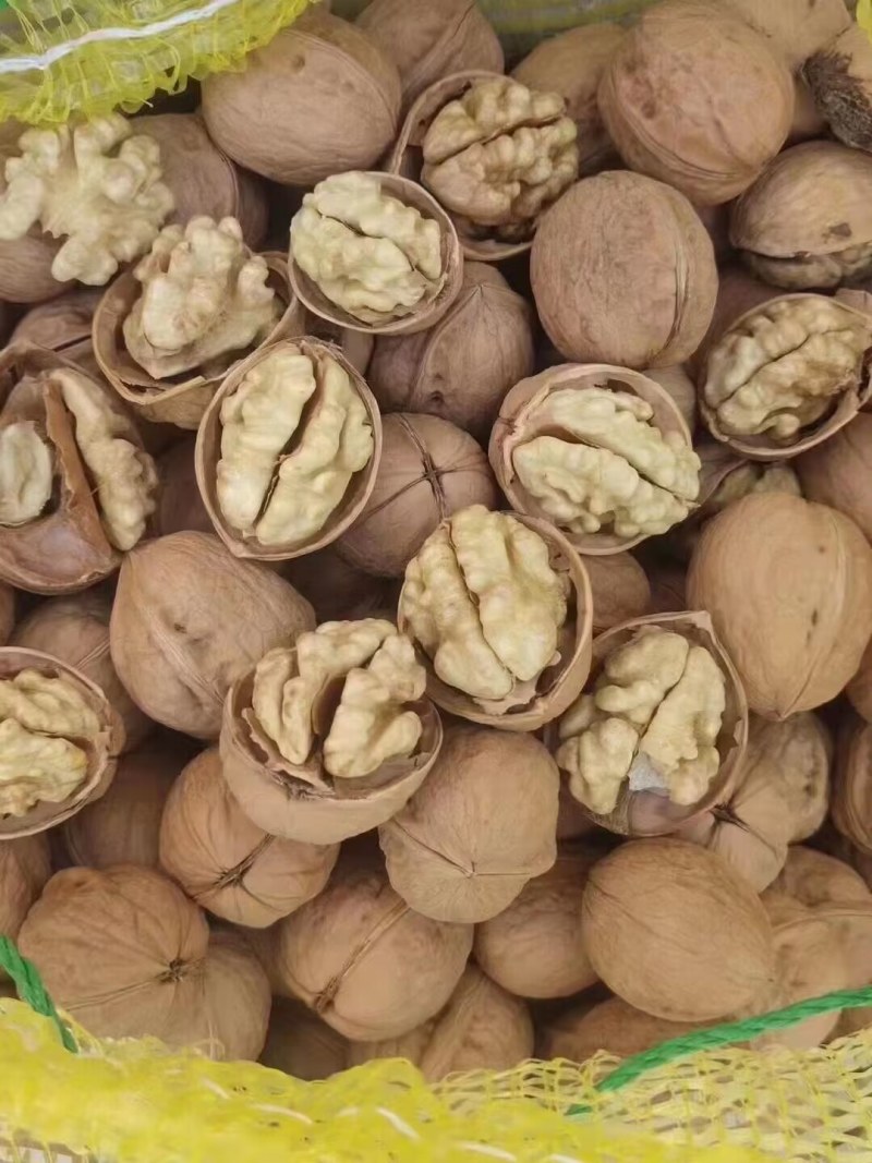 薄皮纸皮干核桃产地，规格品种齐全，货量大，白仁为主
