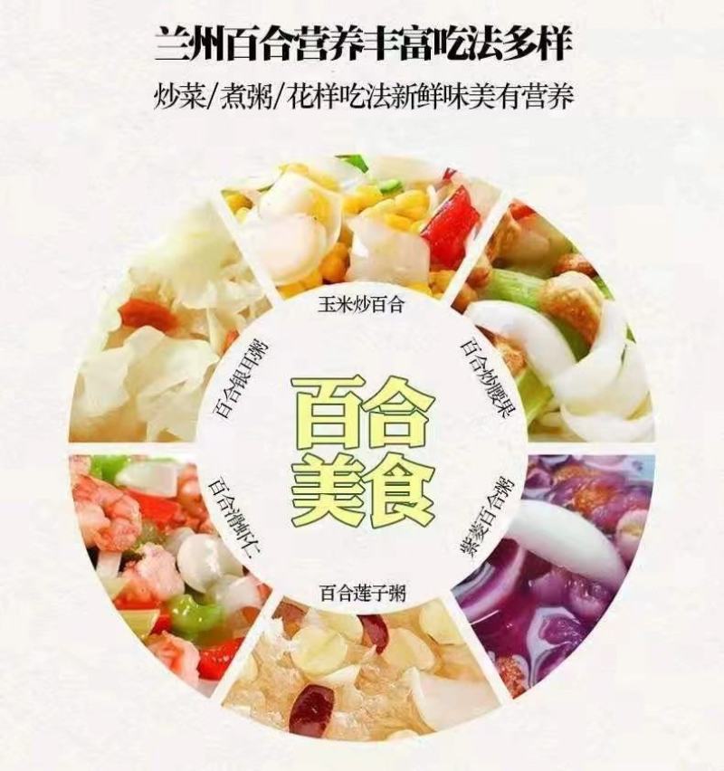 礼盒装兰州甜百合两头三头四头产地发货