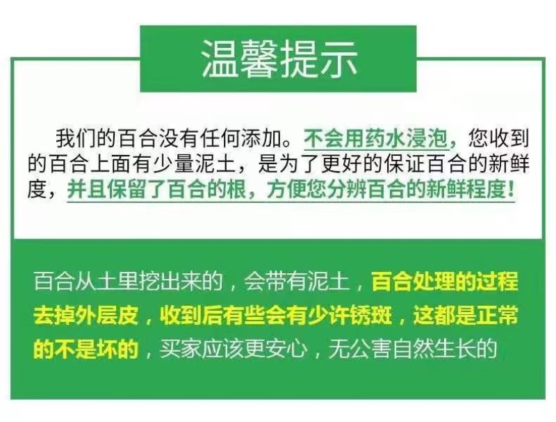 礼盒装兰州甜百合两头三头四头产地发货