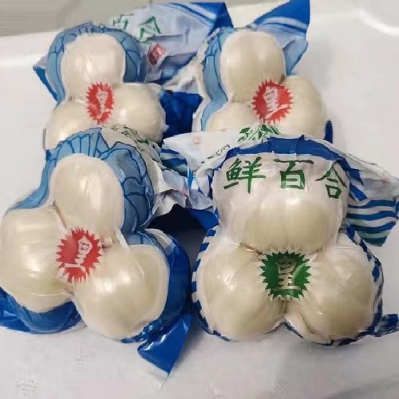 礼盒装兰州甜百合两头三头四头产地发货