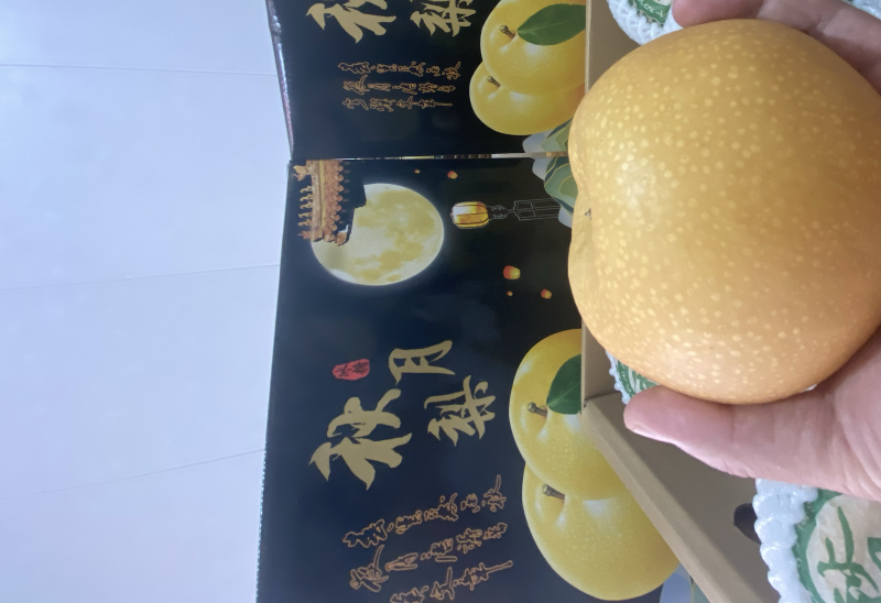 秋月梨