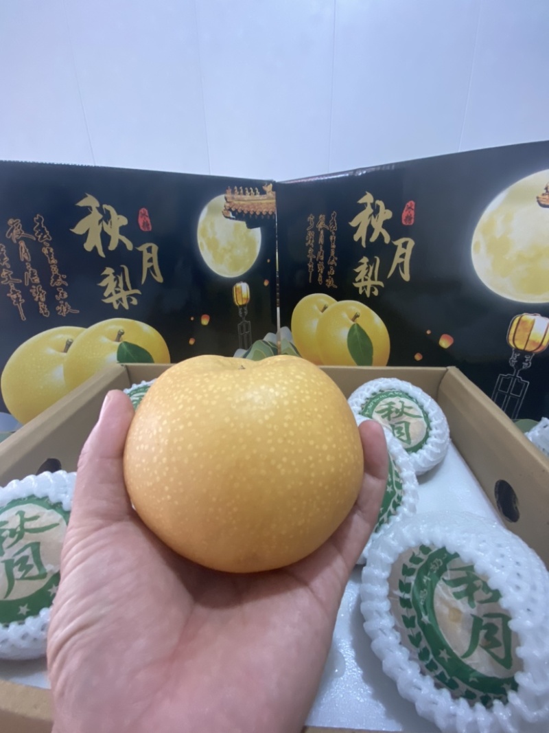 秋月梨
