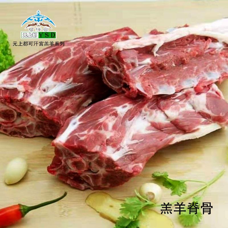 内蒙古包头羔羊满肉脊骨