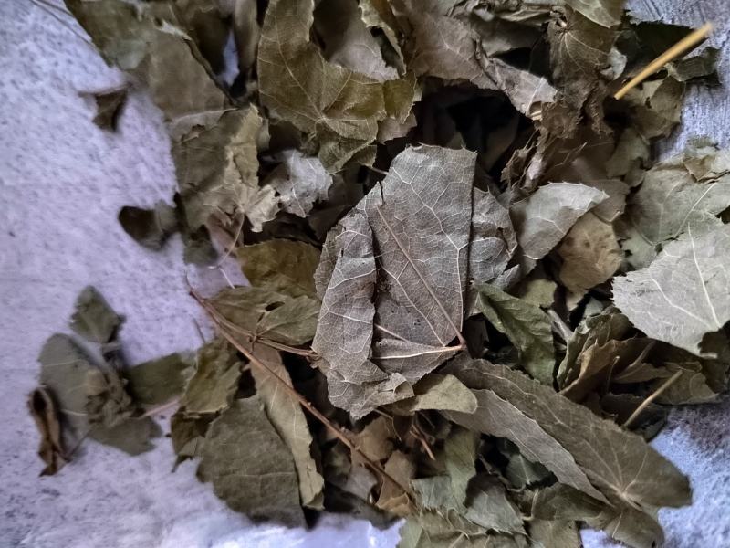 淫羊藿仙灵脾柔毛淫羊藿薄叶无杂质