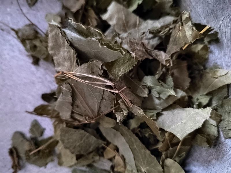 淫羊藿仙灵脾柔毛淫羊藿薄叶无杂质