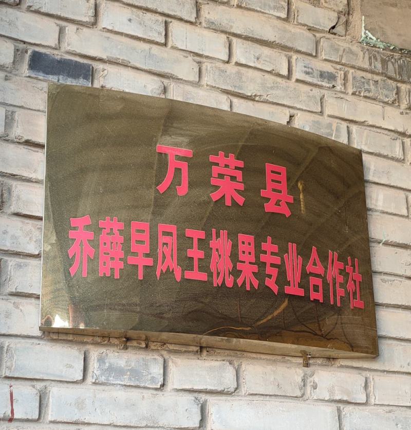 纸袋新红星，新红星纸袋苹果