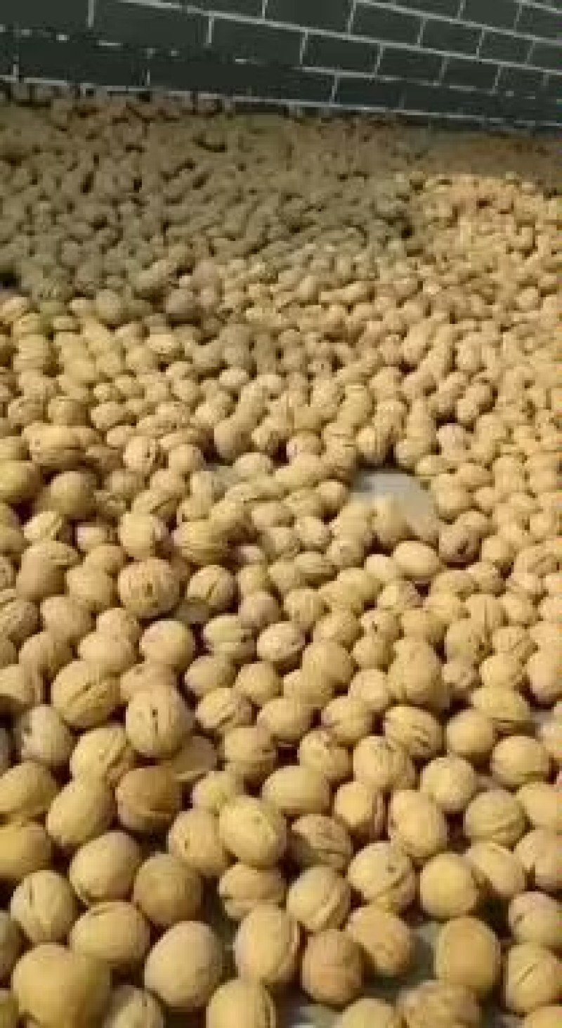 薄皮纸皮干核桃产地，规格品种齐全，货量大，白仁为主
