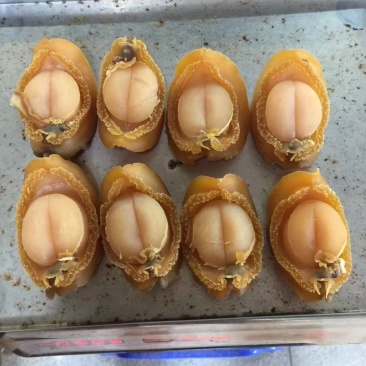 大连吉品鲍鱼黄金鲍鱼干淡干足干鲍鱼规格齐全500g