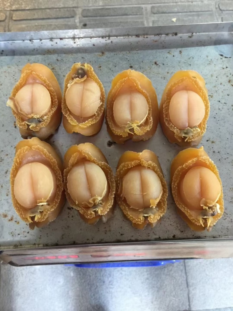大连吉品鲍鱼黄金鲍鱼干淡干足干鲍鱼规格齐全500g