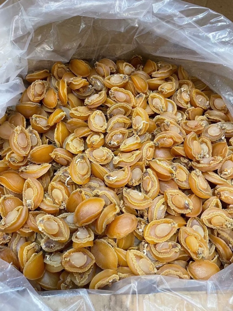 大连吉品鲍鱼黄金鲍鱼干淡干足干鲍鱼规格齐全500g