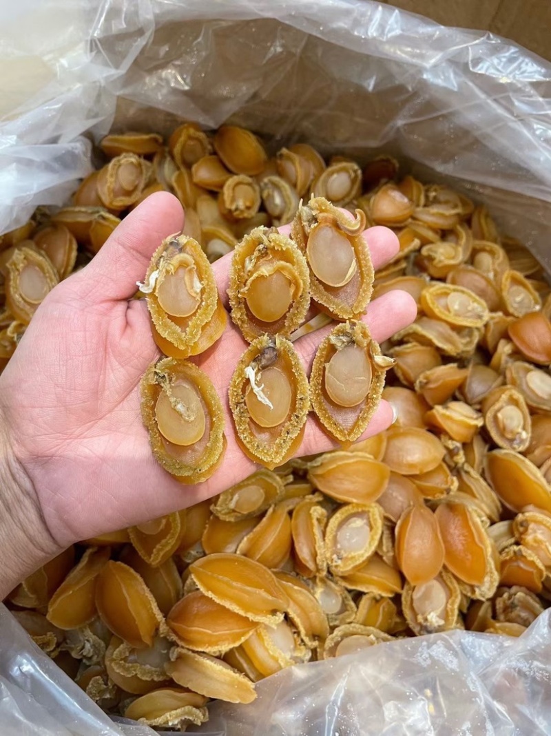 大连吉品鲍鱼黄金鲍鱼干淡干足干鲍鱼规格齐全500g