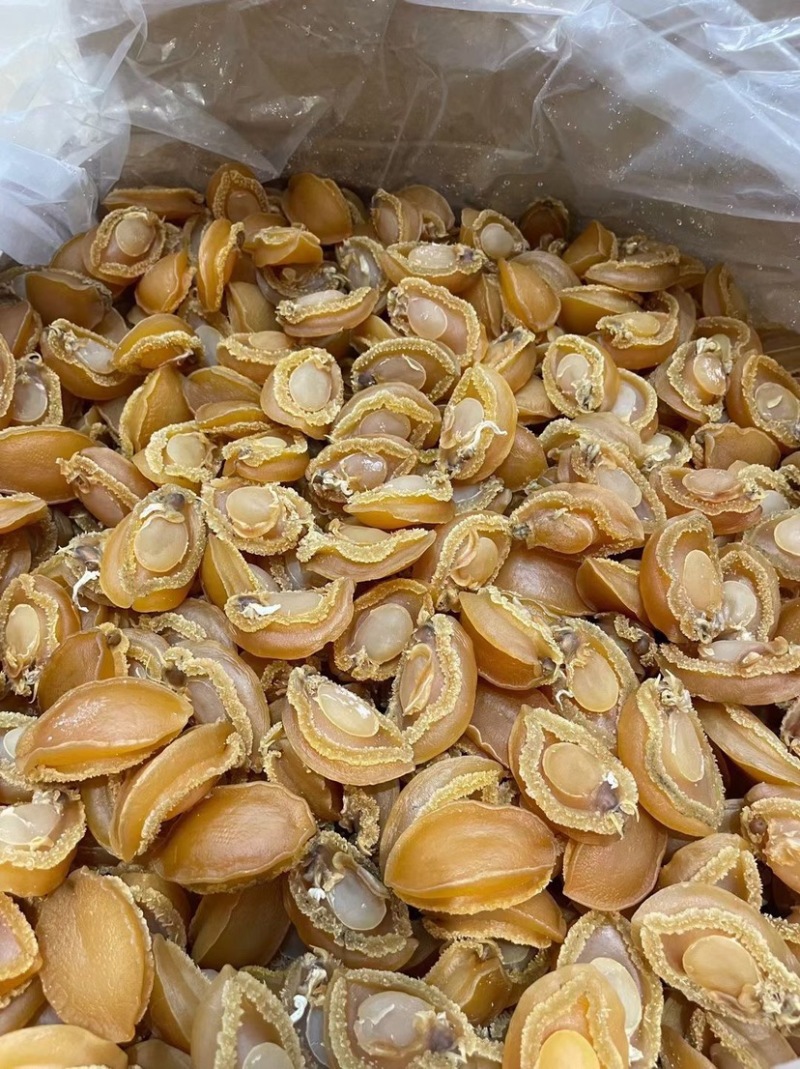 大连吉品鲍鱼黄金鲍鱼干淡干足干鲍鱼规格齐全500g