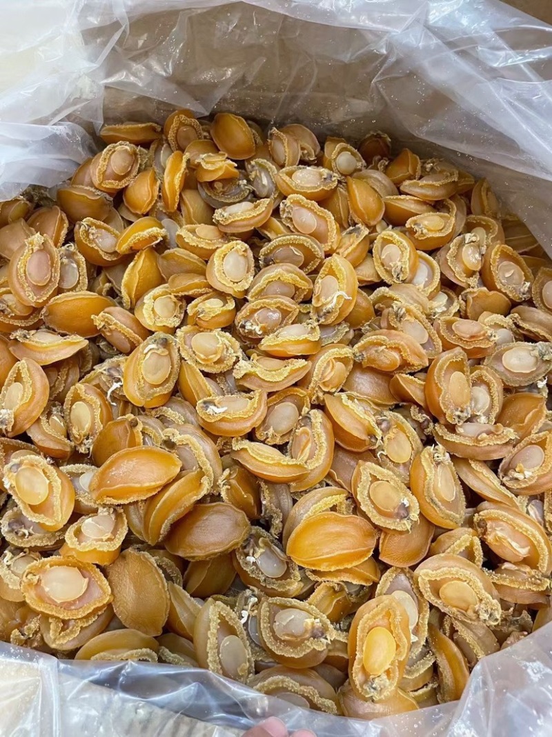 大连吉品鲍鱼黄金鲍鱼干淡干足干鲍鱼规格齐全500g