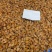 大连吉品鲍鱼黄金鲍鱼干淡干足干鲍鱼规格齐全500g