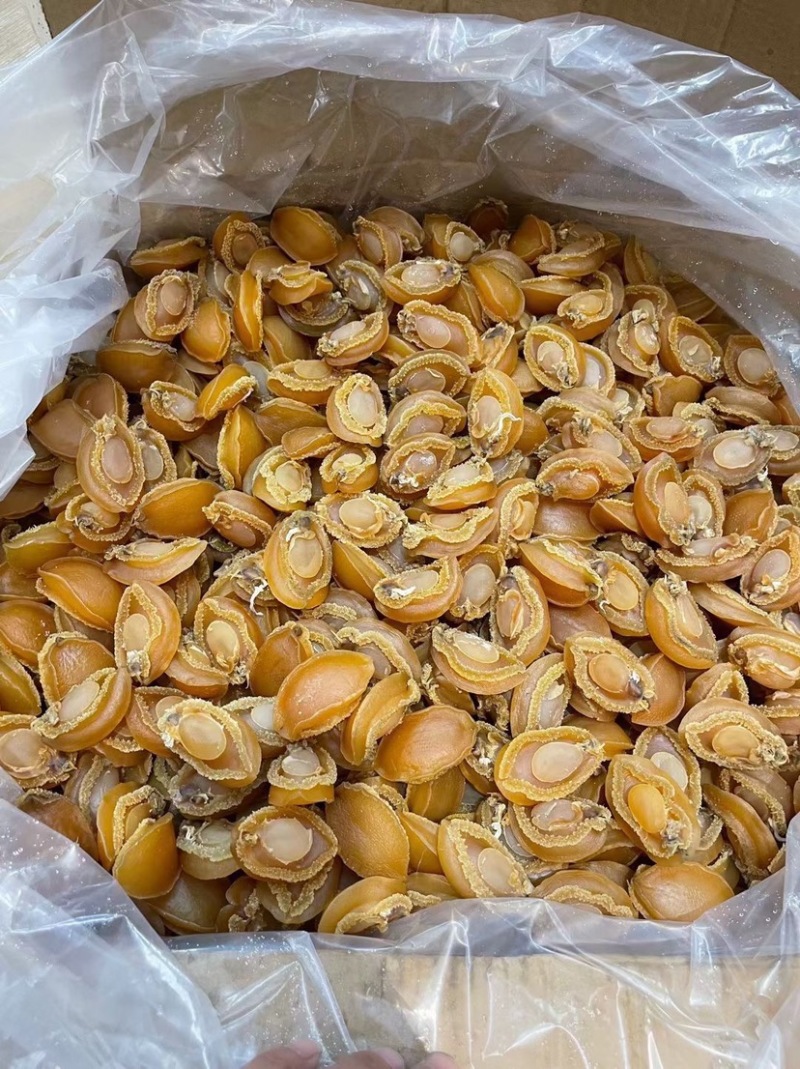 大连吉品鲍鱼黄金鲍鱼干淡干足干鲍鱼规格齐全500g