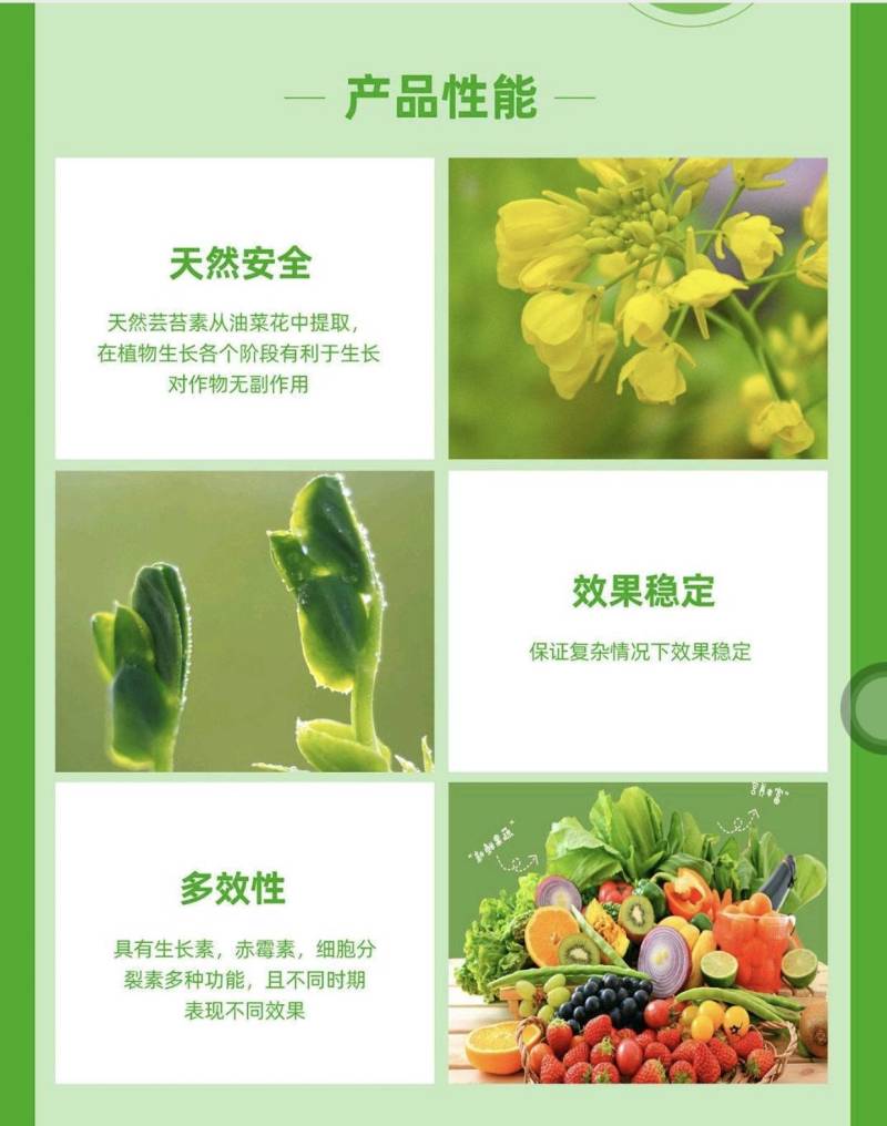 24表芸苔素内酯促根壮苗调节生长增产提质生长调节剂蔬菜