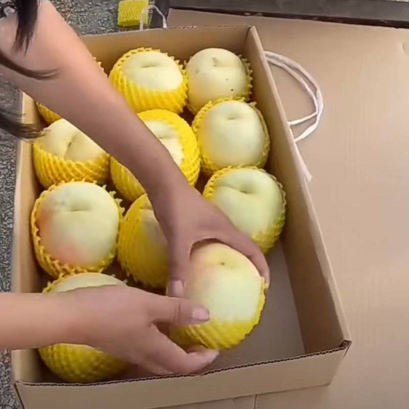 秋月梨大量上市，测糖和不测糖价格不！！！需要的客商联系我