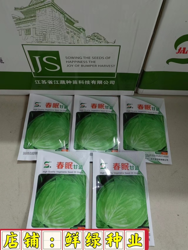 春眠甘蓝，冬性强，产量稳定，较好的抗病性及抗逆性