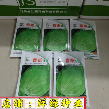 春眠甘蓝,冬性强,产量稳定,较好的抗病性及抗逆性