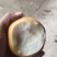 晚秋黄梨，色泽鲜艳，口感脆甜多汁，耐运输货架期长