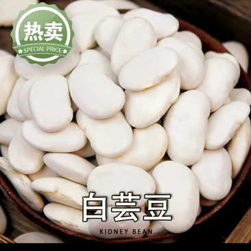 白云豆营养丰富，蛋白质含量高，高山绿色食品