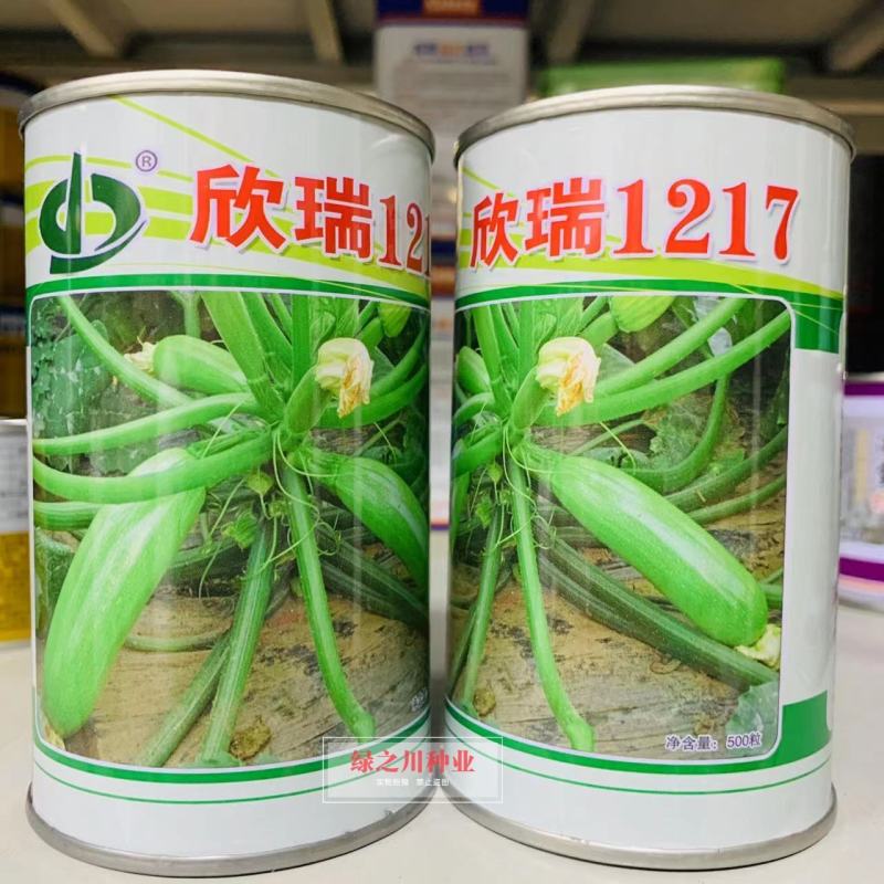 新引进抗病毒西葫芦种子欣瑞1217早熟翠绿色西葫芦瓜种