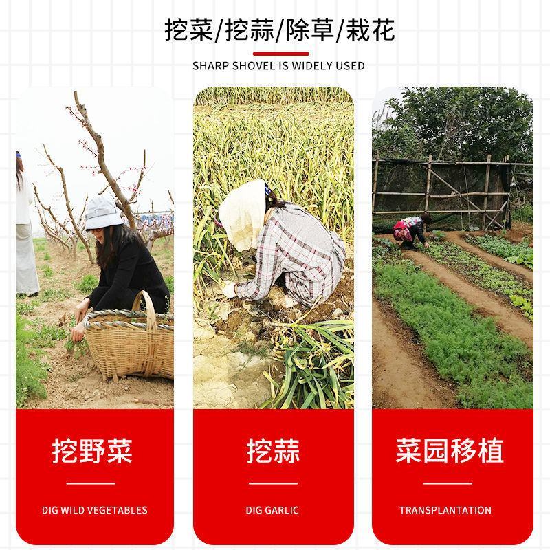 铲子园艺种花小铁铲农用家用种菜除草挖土拔草户外挖野菜铲出
