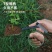 铲子园艺种花小铁铲农用家用种菜除草挖土拔草户外挖野菜铲出