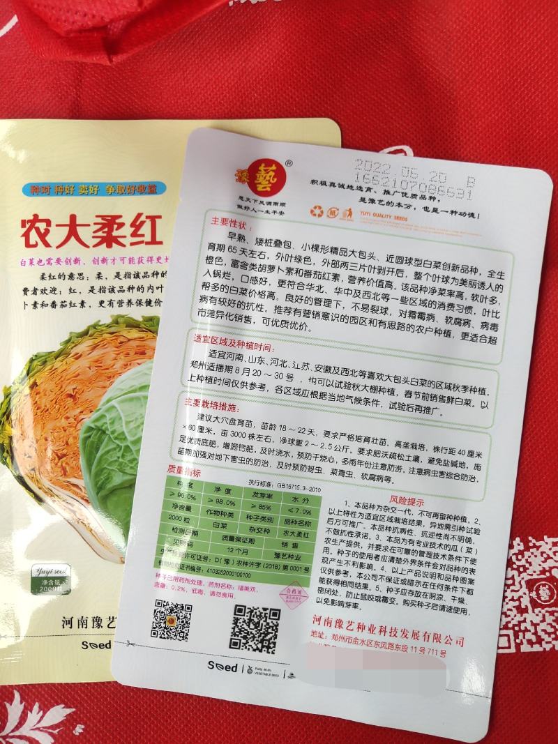 农大柔红白菜种子早熟口感好高抗病经济效益高大包头