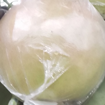 玉露香梨