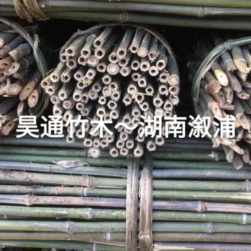 2.4米～2.5米菜架竹、小竹竿、竹架条、金竹、铁竹