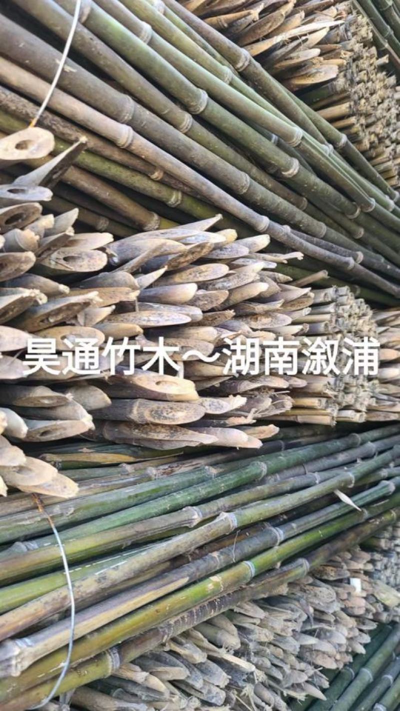 2.4米～2.5米菜架竹、小竹竿、竹架条、金竹、铁竹