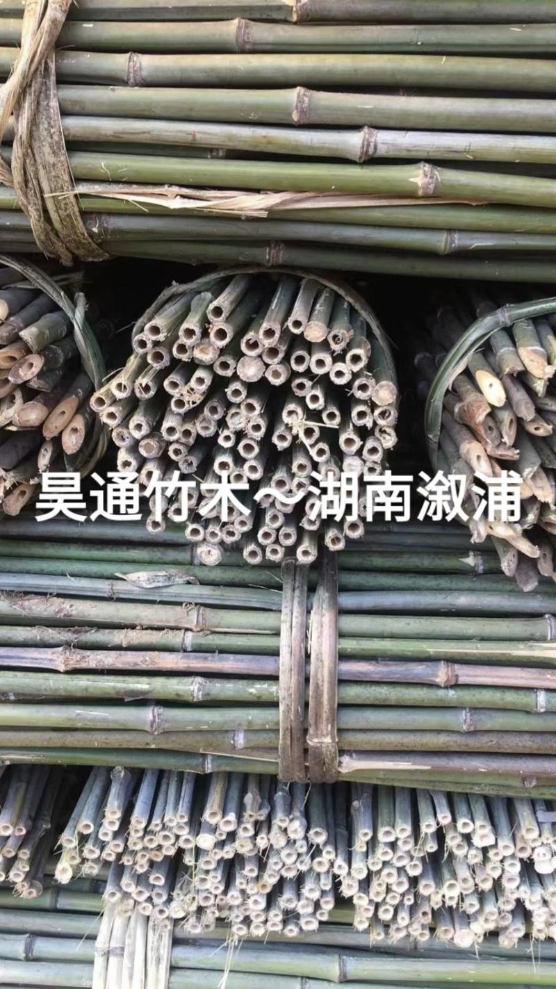 2.4米～2.5米菜架竹、小竹竿、竹架条、金竹、铁竹