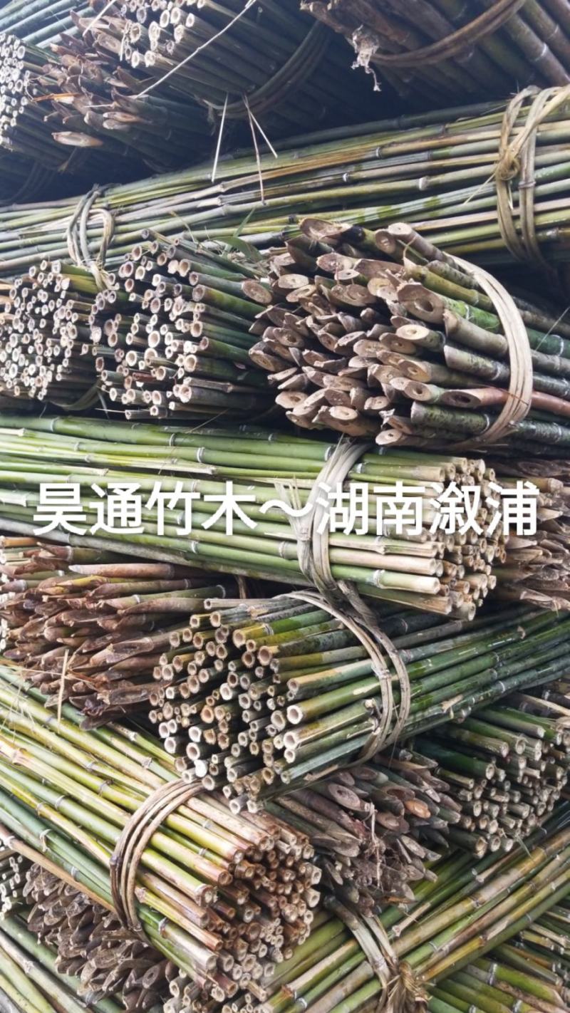 2.4米～2.5米菜架竹、小竹竿、竹架条、金竹、铁竹