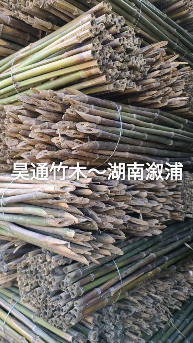 2.4米～2.5米菜架竹、小竹竿、竹架条、金竹、铁竹