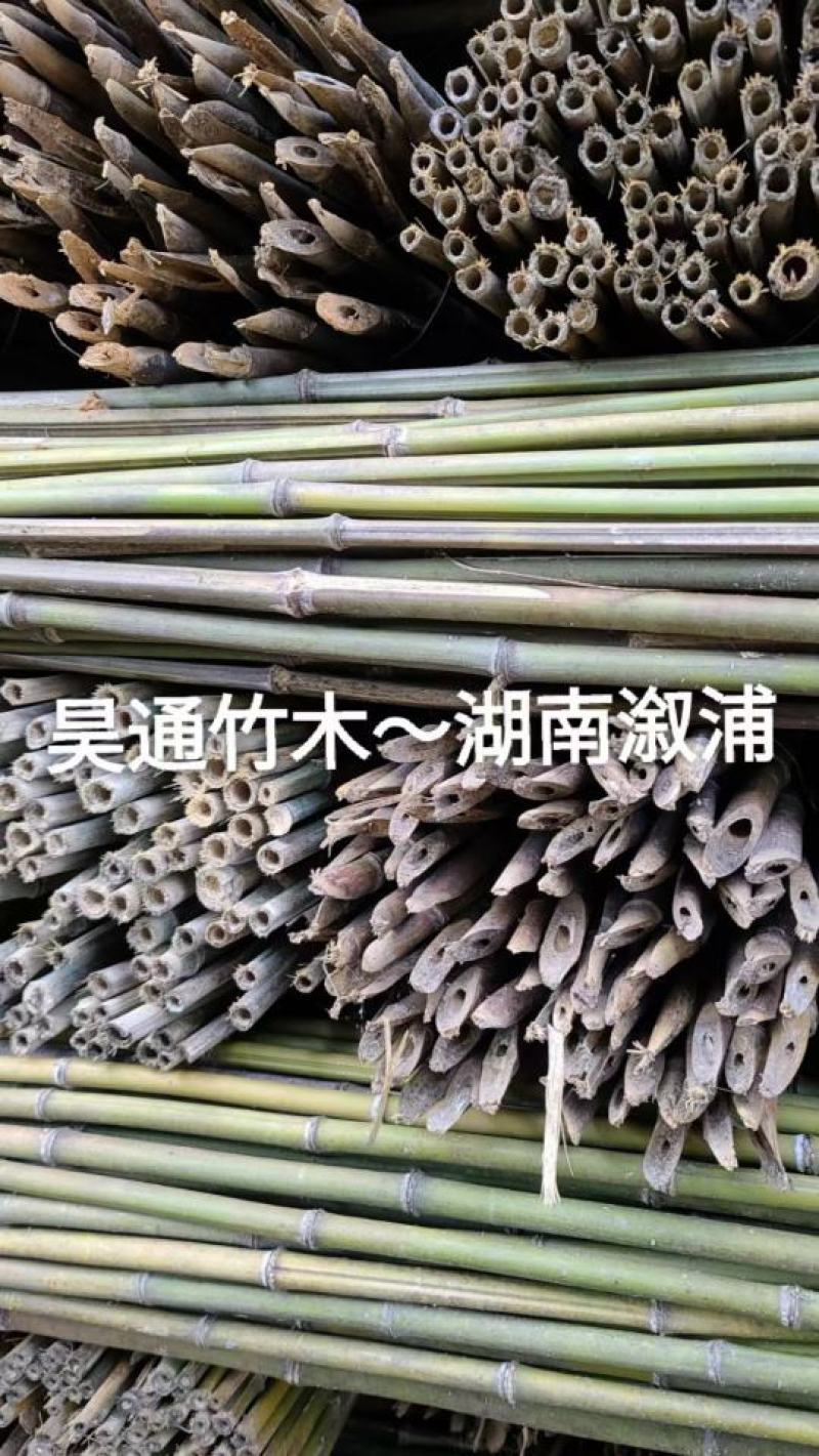 2.4米～2.5米菜架竹、小竹竿、竹架条、金竹、铁竹